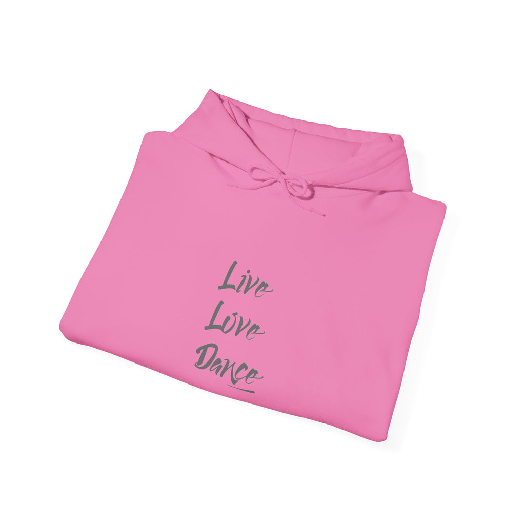 Live Love Dance Graphic Hoodie Unisex Heavy Blend™ Hooded Sweatshirt