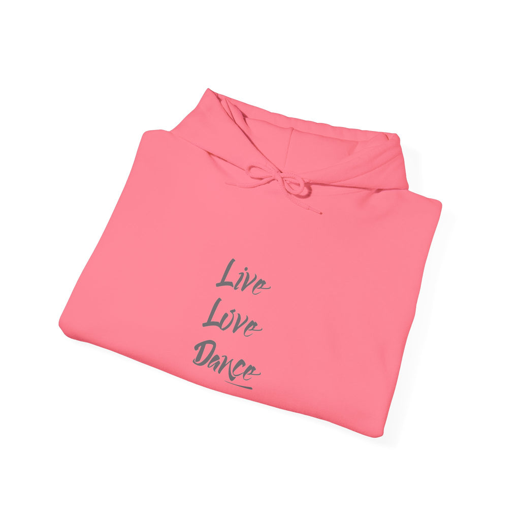 Live Love Dance Graphic Hoodie Unisex Heavy Blend™ Hooded Sweatshirt