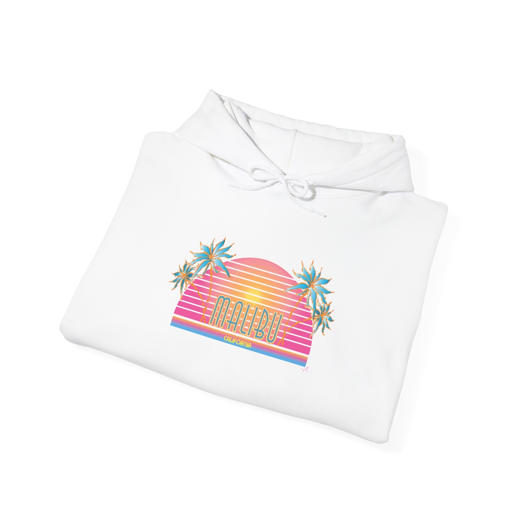 Retro Malibu Sunset Hoodie — Palm Tree Tropical Graphic