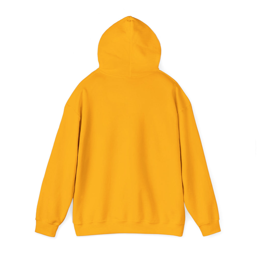 Live Love Dance Graphic Hoodie Unisex Heavy Blend™ Hooded Sweatshirt