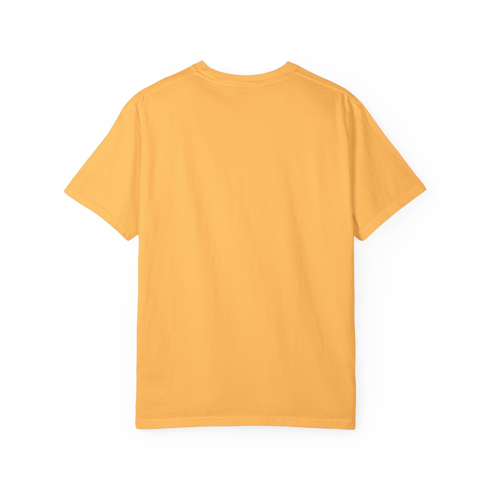 MIAMI BEACH Color Block Graphic Unisex Garment-Dyed T-shirt