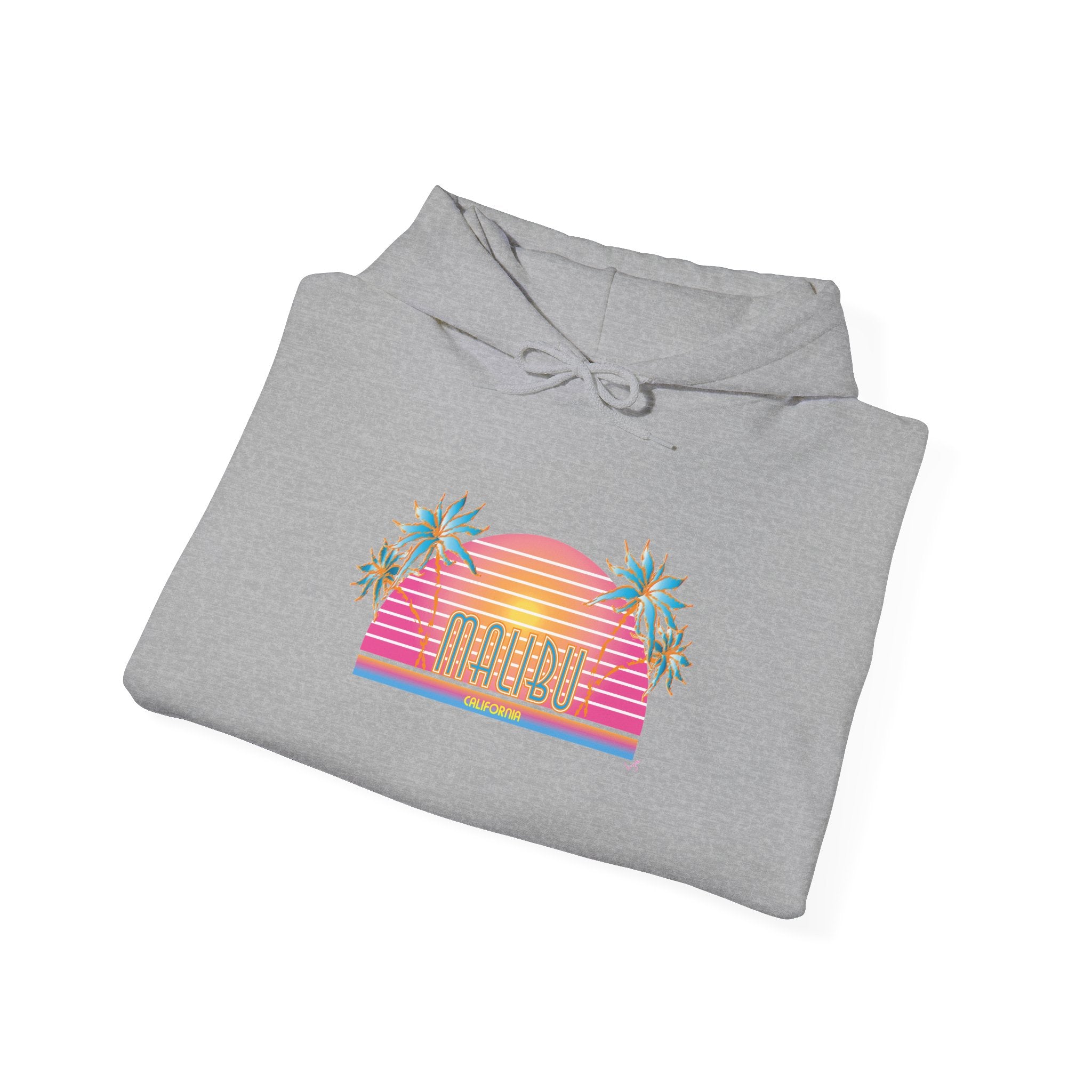 Retro Malibu Sunset Hoodie — Palm Tree Tropical Graphic