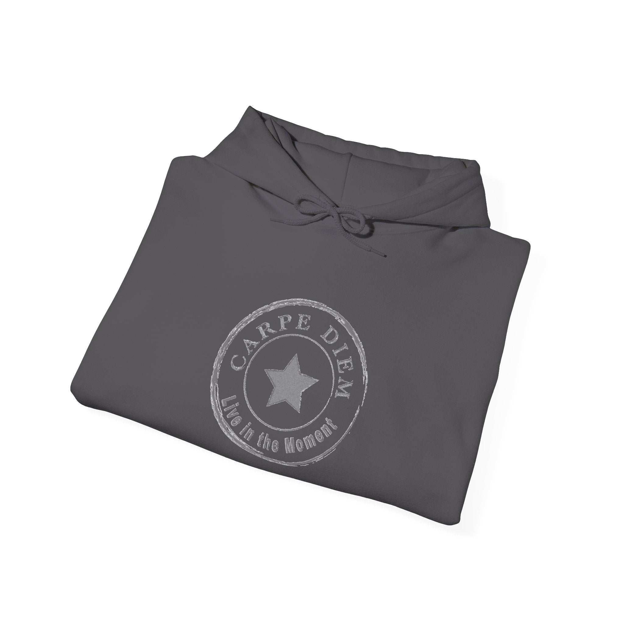 Carpe Diem - Seize the Day Graphic Unisex Hoodie