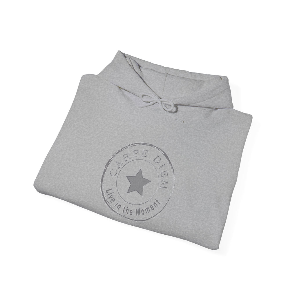 Carpe Diem - Seize the Day Graphic Unisex Hoodie