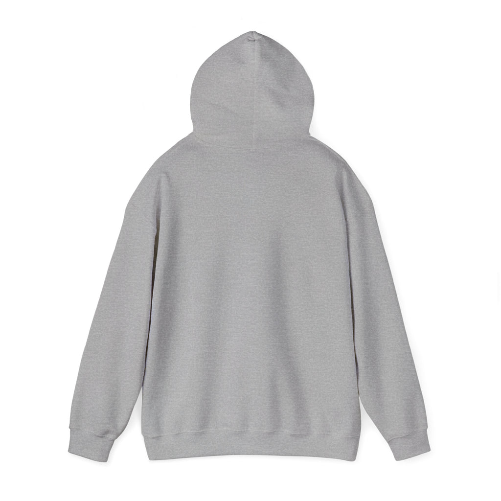 San Francisco Rainbow Bridge Graphic Hoodie - Unisex Heavy Blend™ Hooded Sweatshirt