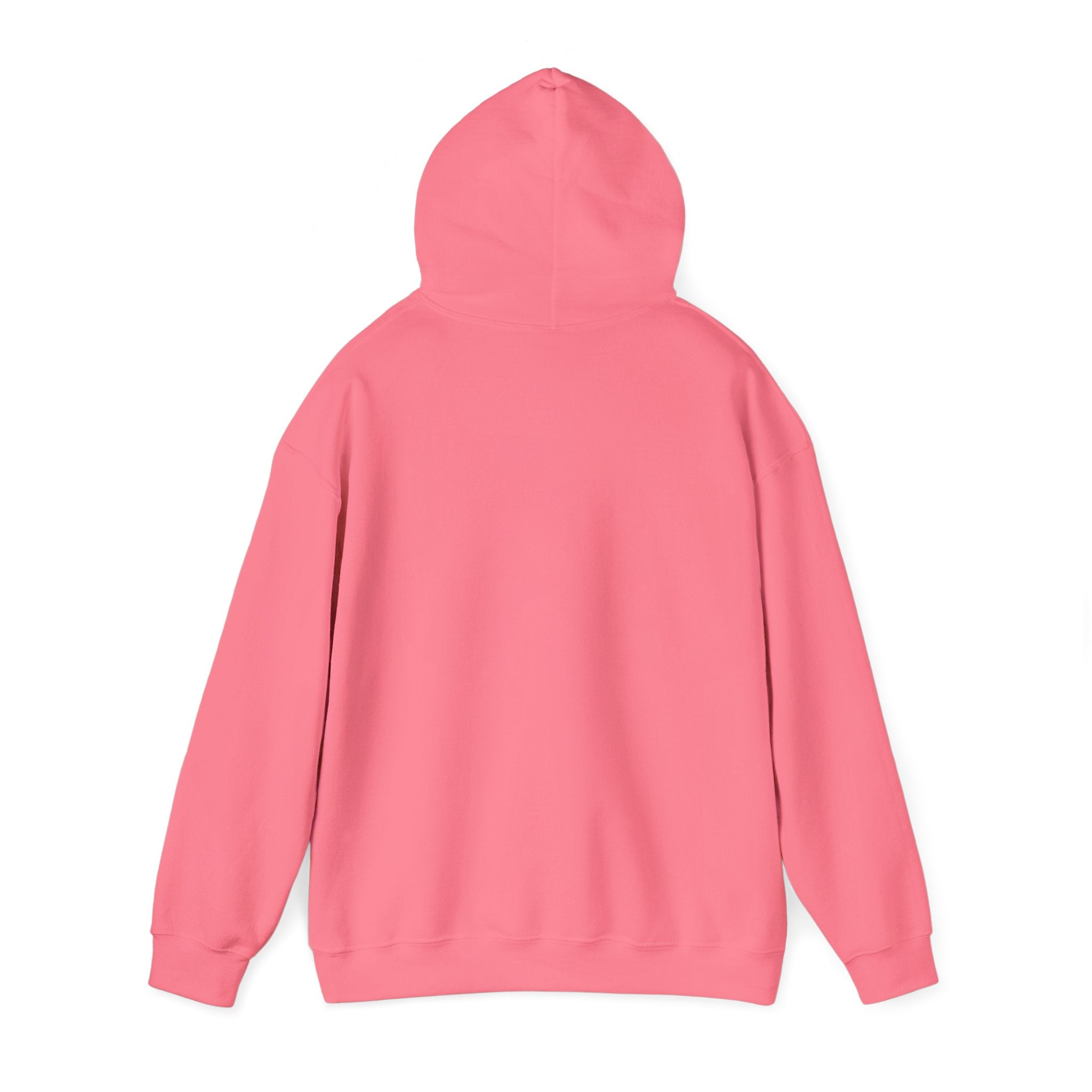 San Francisco Rainbow Bridge Graphic Hoodie - Unisex Heavy Blend™ Hooded Sweatshirt