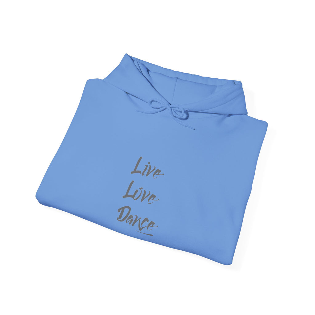 Live Love Dance Graphic Hoodie Unisex Heavy Blend™ Hooded Sweatshirt
