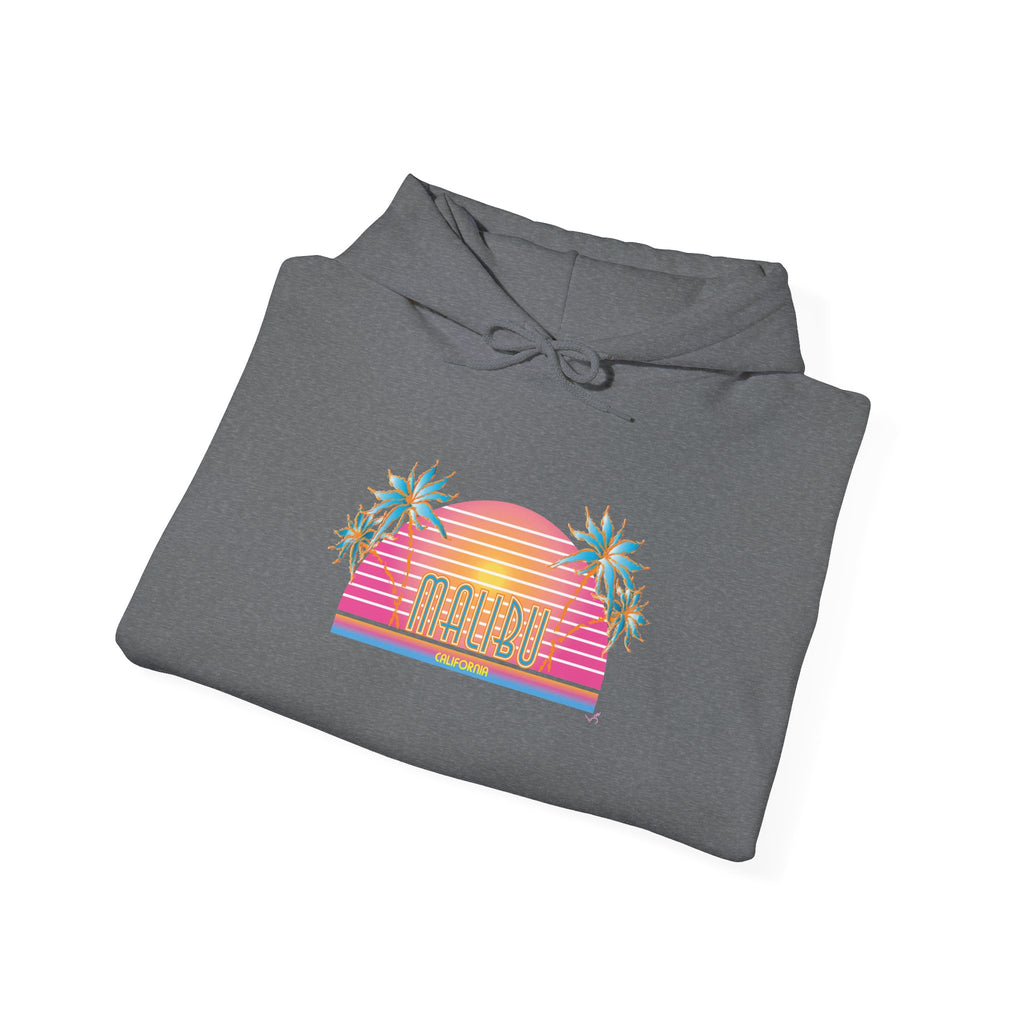 Retro Malibu Sunset Hoodie — Palm Tree Tropical Graphic